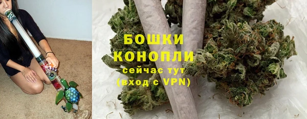 гидра Арсеньев