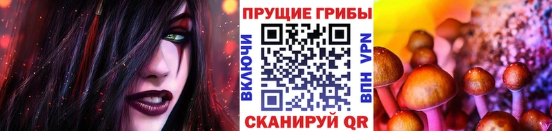 Купить  Соль-Илецк  Галлюциногенные грибы Magic Shrooms 